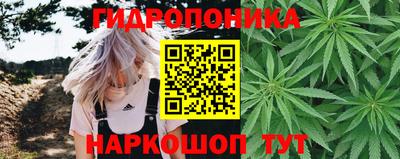 метадон Гусь-Хрустальный