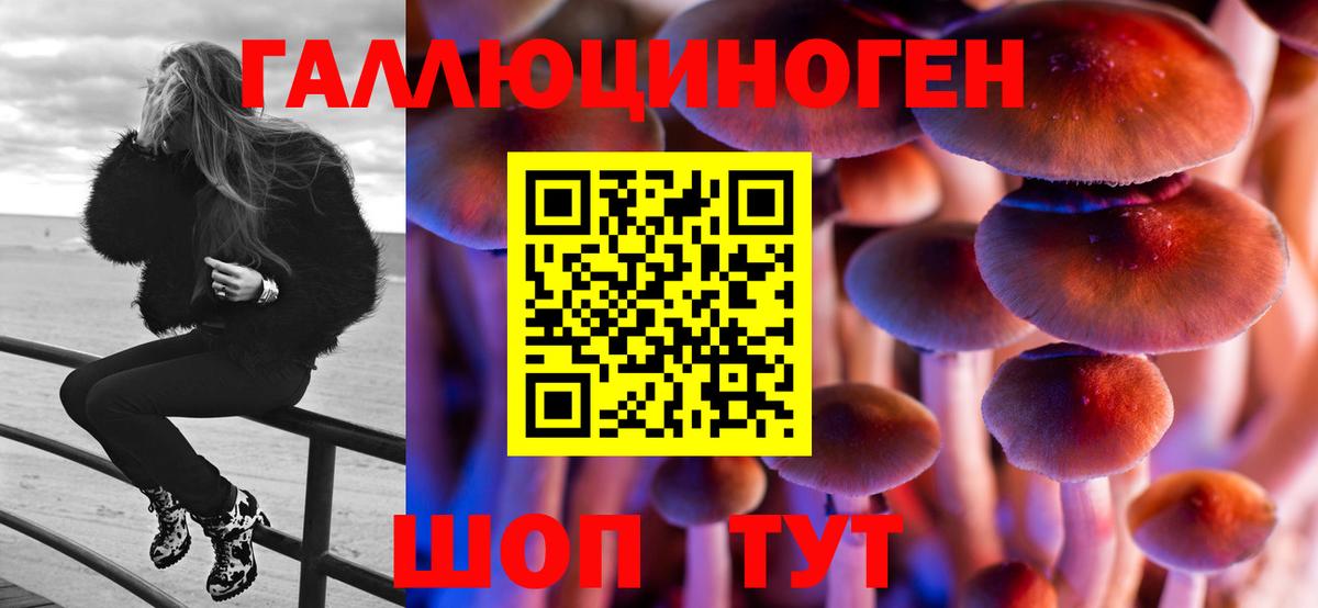 Псилоцибиновые грибы мухоморы Нововоронеж